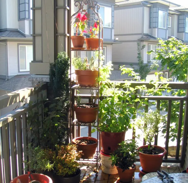 Different sizes of containers for gardening on a small balcony.