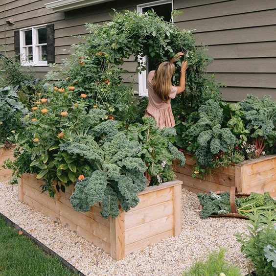 Kitchen garden bed with a green canopy.