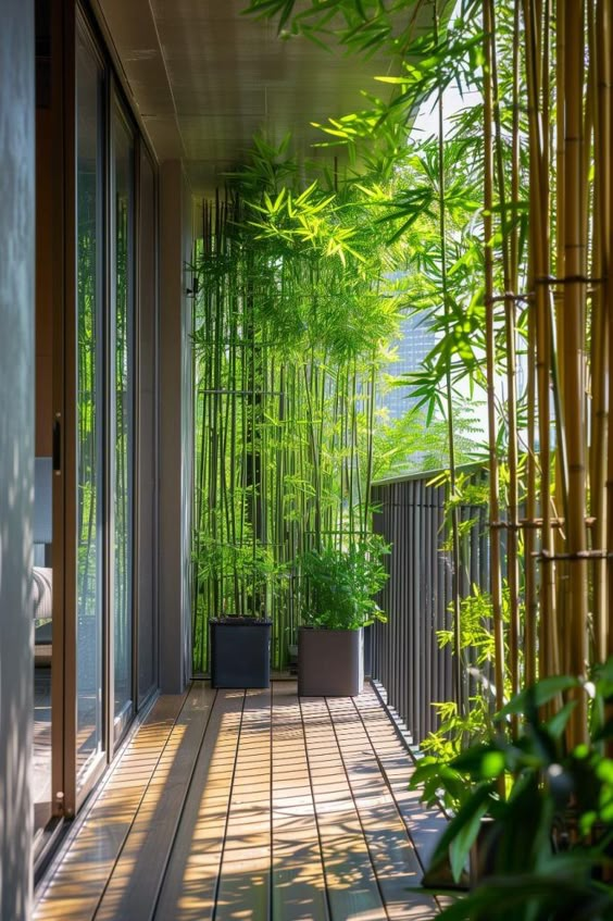 Bamboo balcony garden.