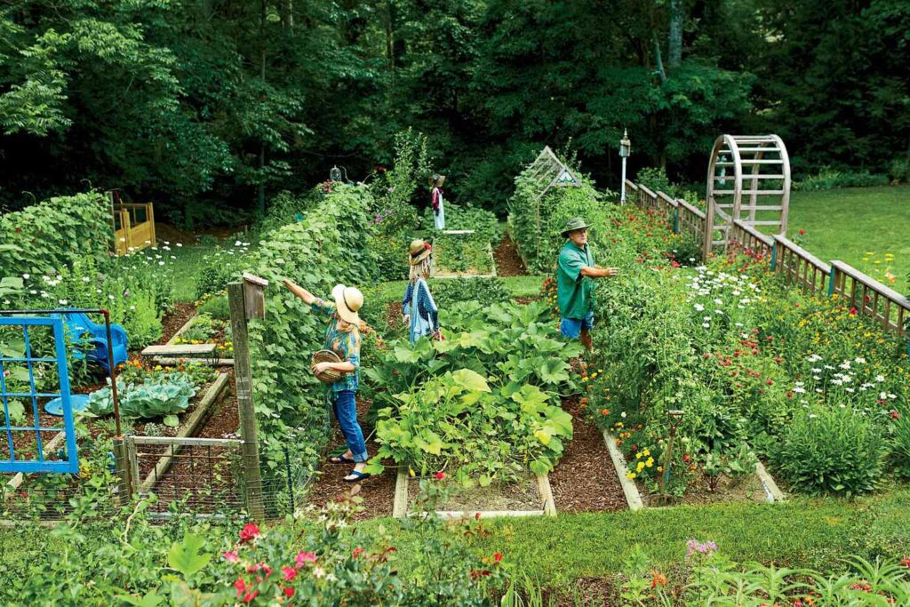 A community garden where people grow vegetables together.