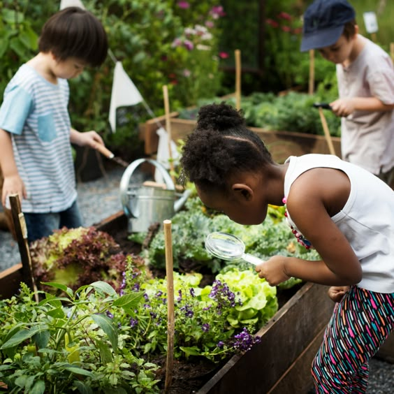 Children growing their vegetables as a community.