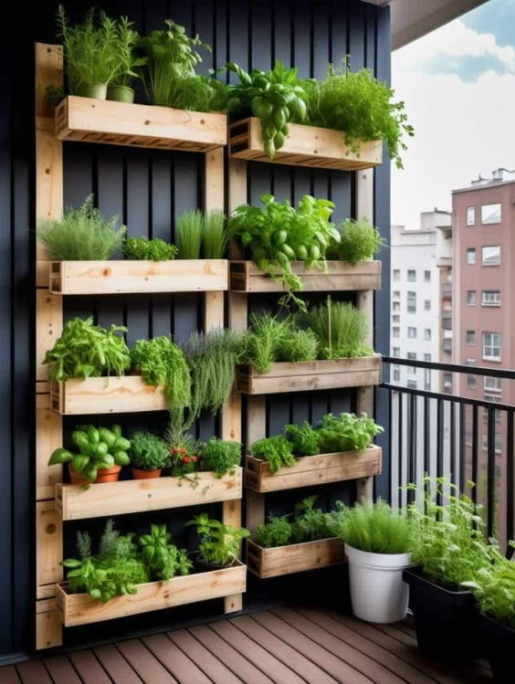 Wooden vertical racks for kitchen gardening. 