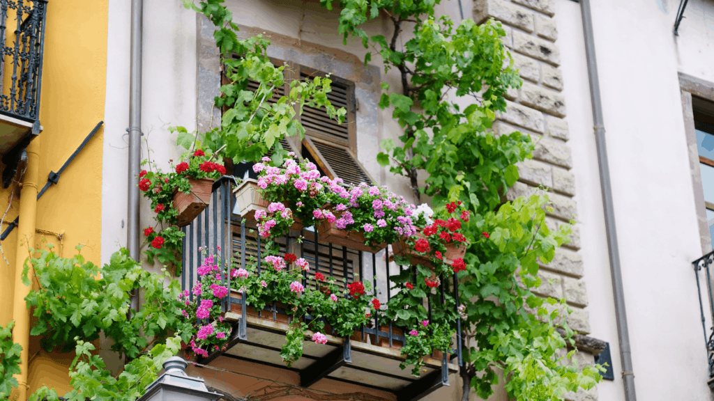 Trellis on the balcony supporting vertical gardening and creeper plants.