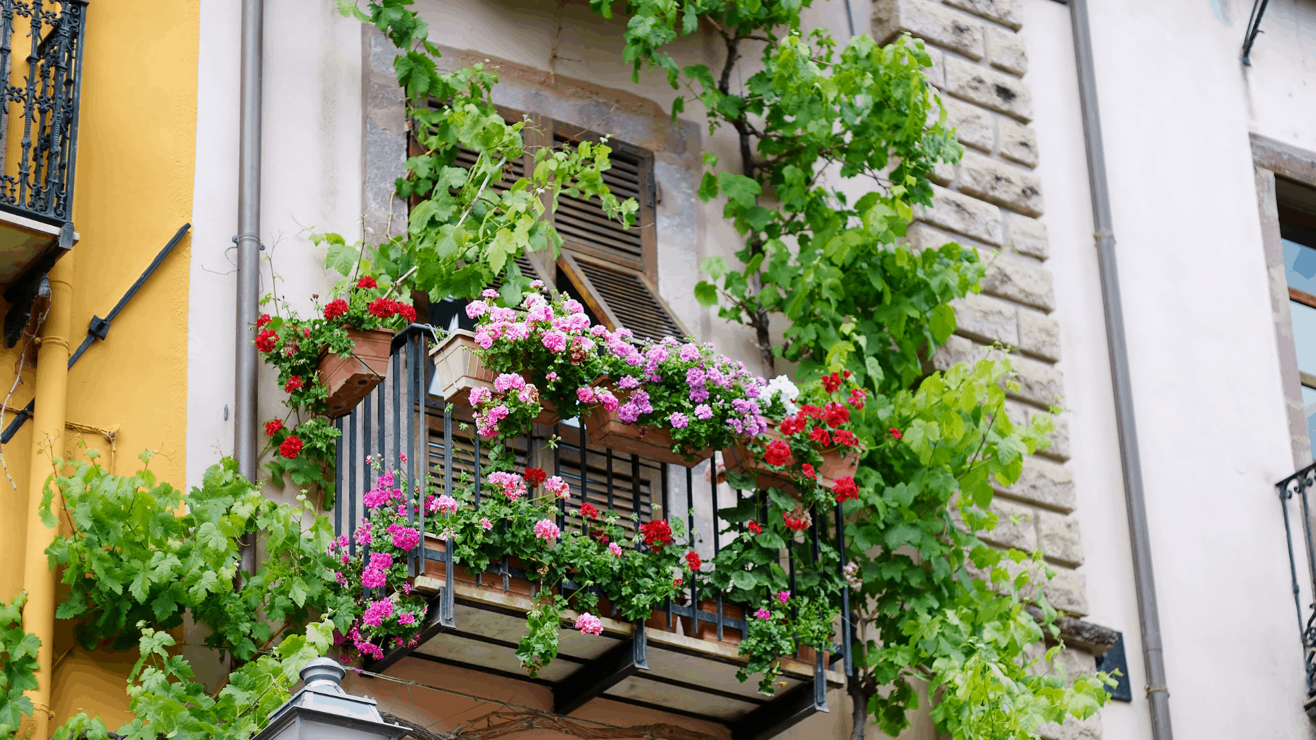 Covered Balcony Ideas Apartment