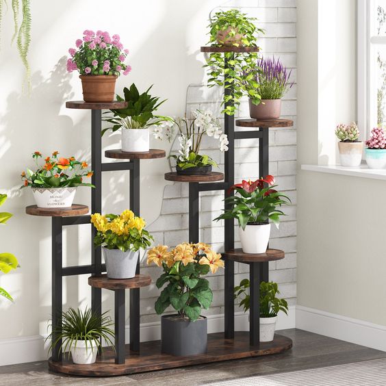 Multi-leveled plant display for succulents and flowers.