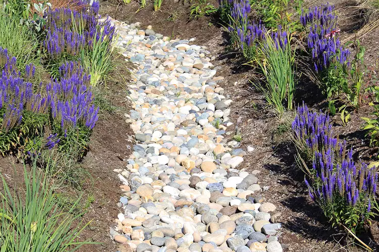 A gravel garden bed for functionality and aesthetic.