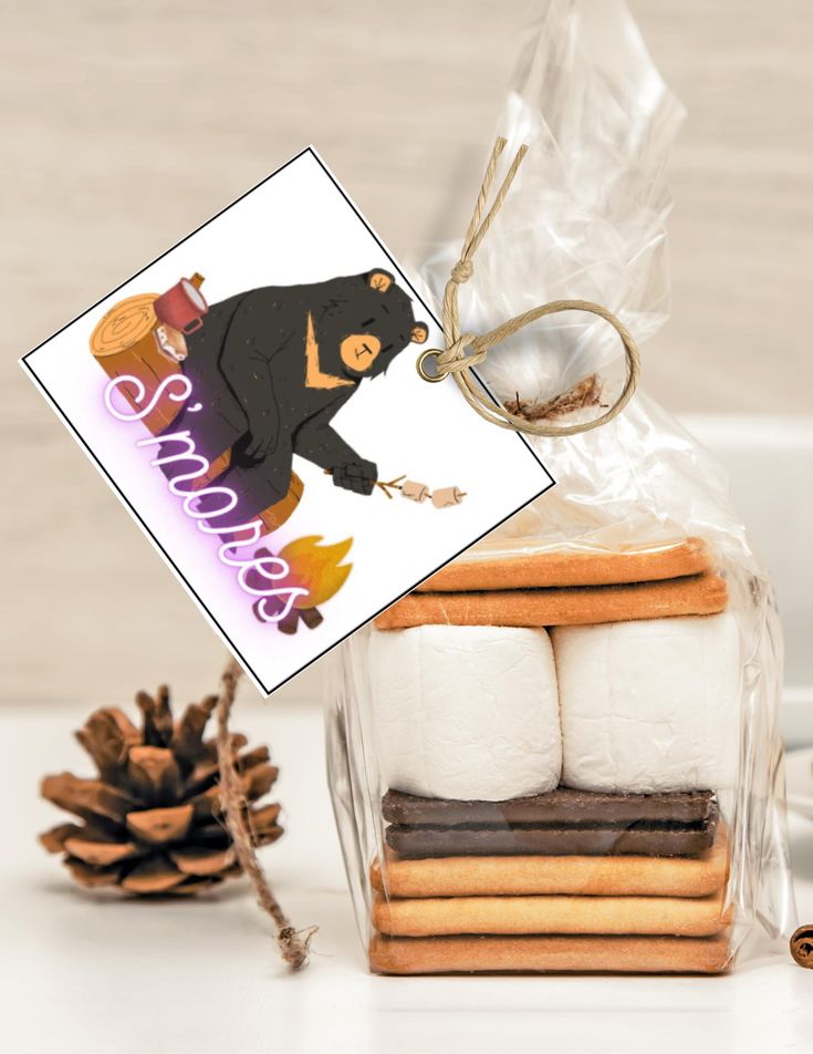Happy Camper Birthday Mini S’mores Kits With Gift Tags