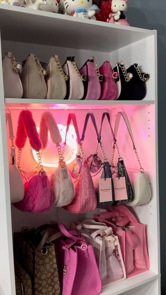 Aesthetic Purse Shelf Styling