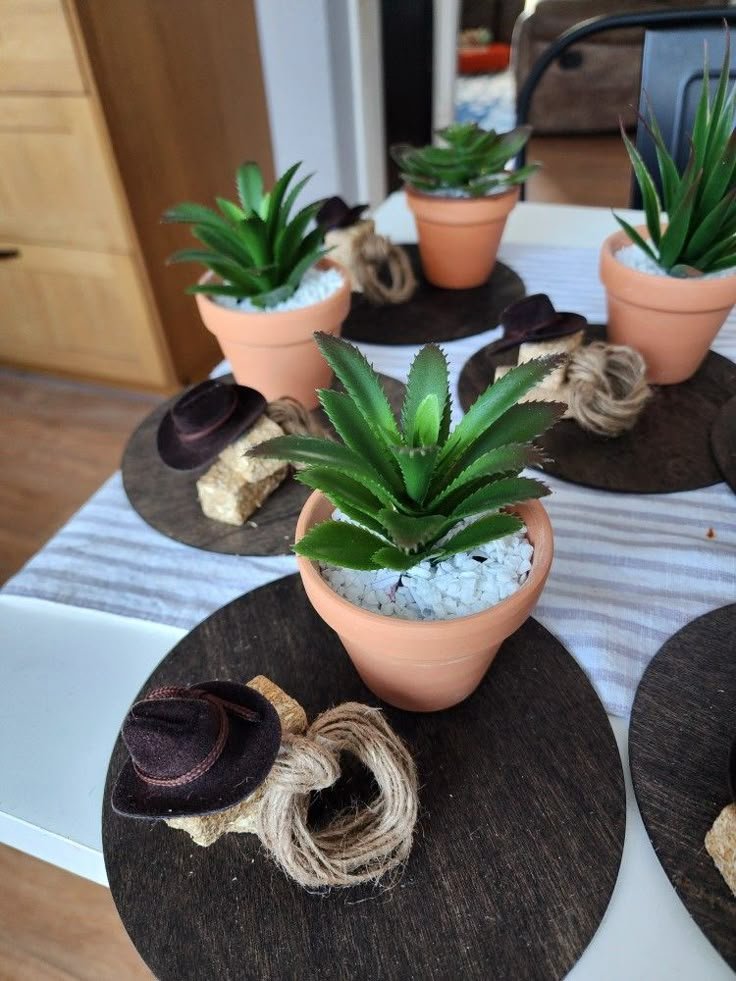 Mini Plant And Rope Centerpiece Decor