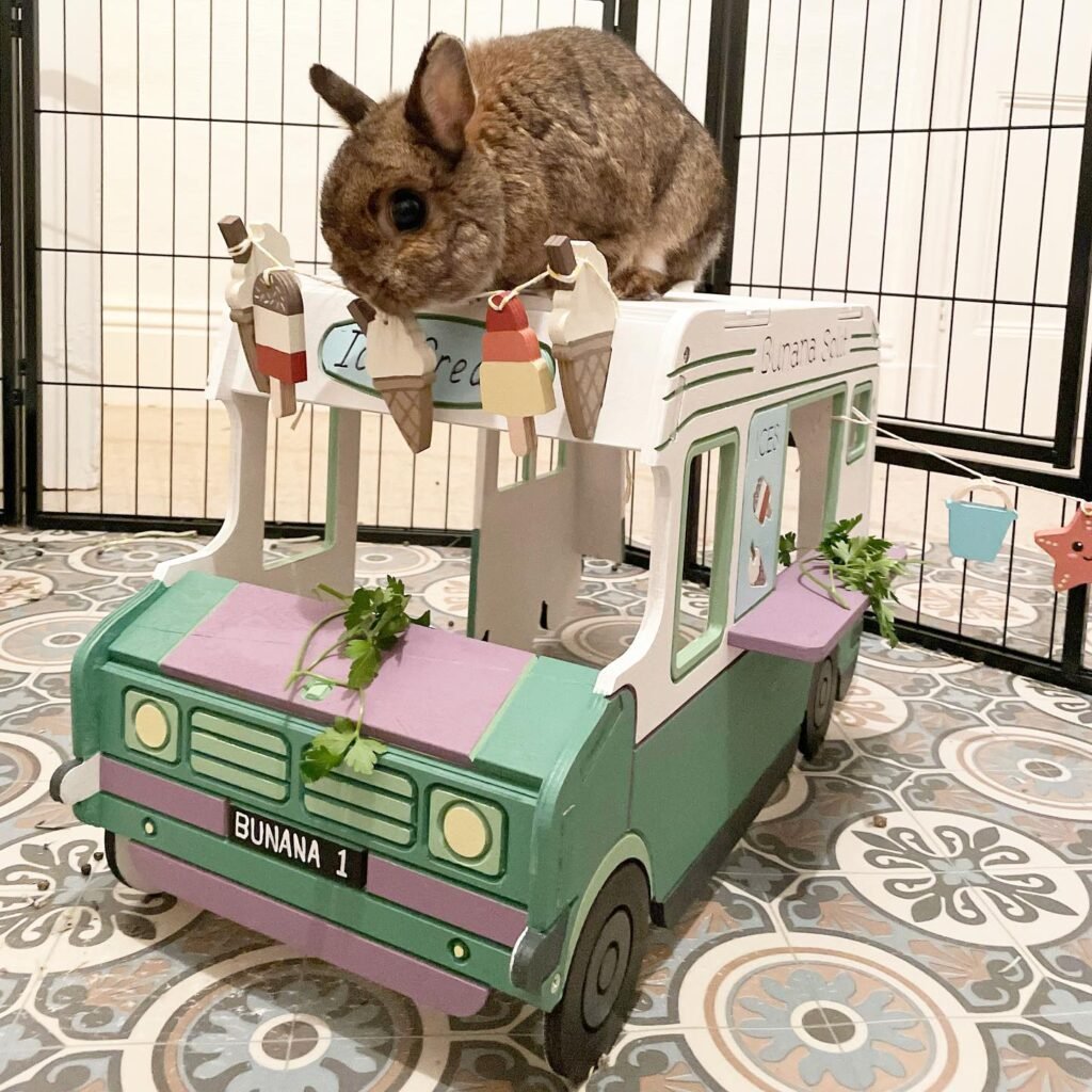 Tasty Bunny Bait Station