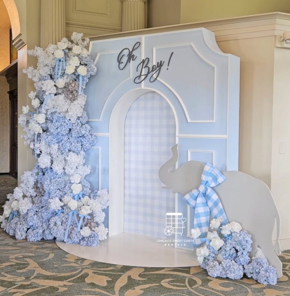 Gorgeous in Gingham Baby Shower Theme
